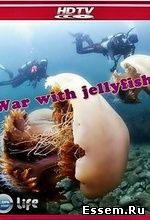 Война с медузами